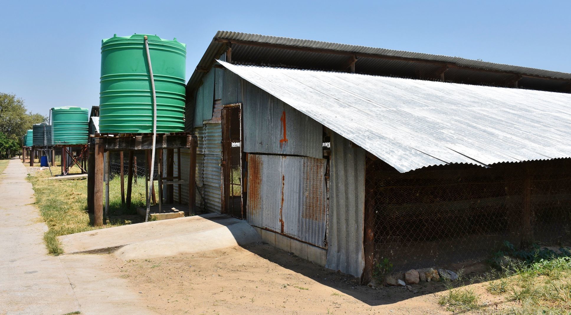 Layer-hen houses date to 1990